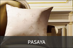 PASAYA